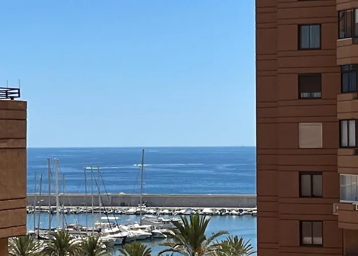 公寓 Sur Palmeras 7 丰希罗拉